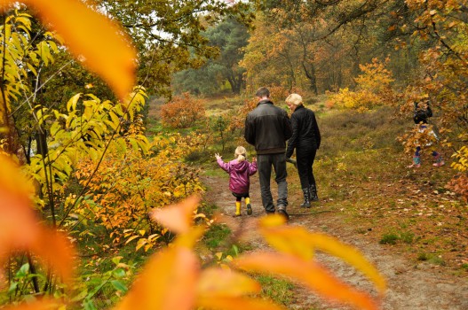 Vakantie Vechtdal Bos - Visit Hardenberg