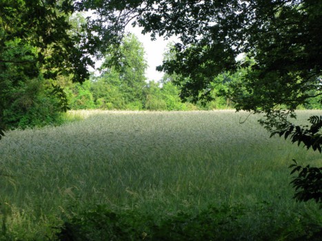 Foto - Visit Hardenberg