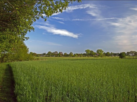 Bed & Breakfast - Visit Hardenberg