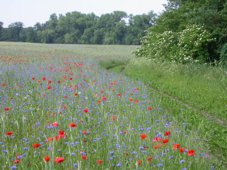 Foto - Visit Hardenberg