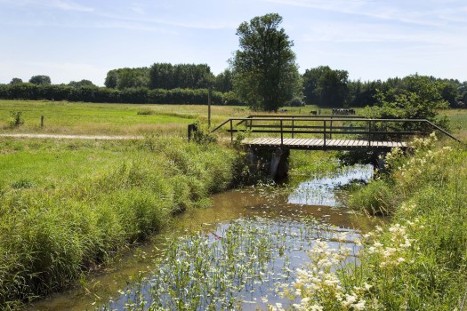 Foto - Visit Hardenberg