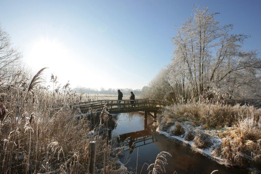 winter wandeling - Visit Hardenberg