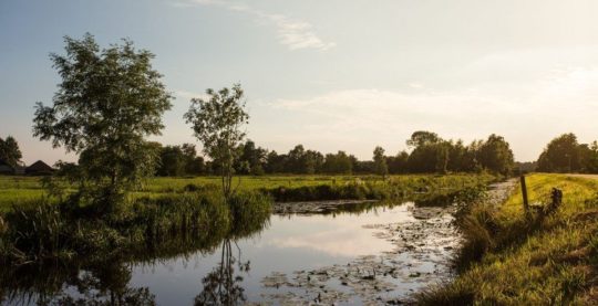 B&B Vrede Vrijheid - Visit Hardenberg