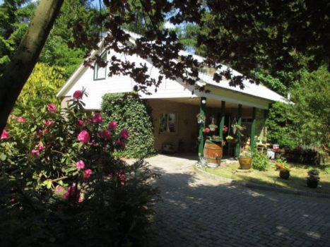 B&B Blue Heaven - Visit Hardenberg