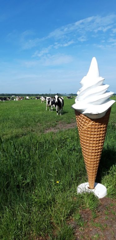 Heemser zuivelboerderij