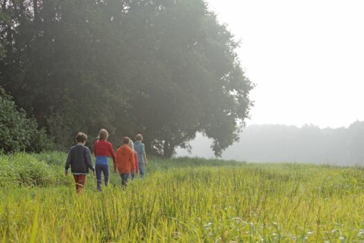 Speelnatuurpad Bas de Das - Visit Hardenberg