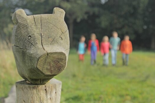 Speelnatuurpad Bas de Das - Visit Hardenberg
