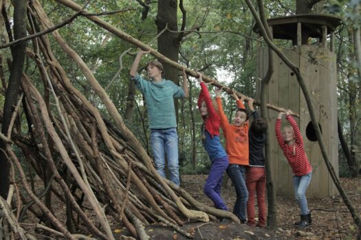 Speelnatuurpad Bas de Das - Visit Hardenberg