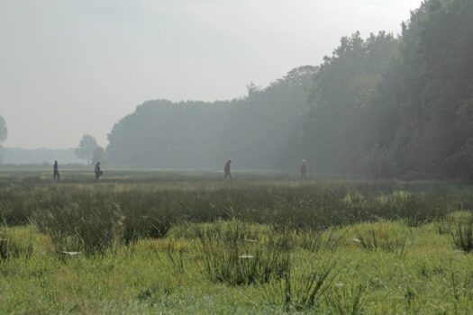 Speelnatuurpad Bas de Das - Visit Hardenberg