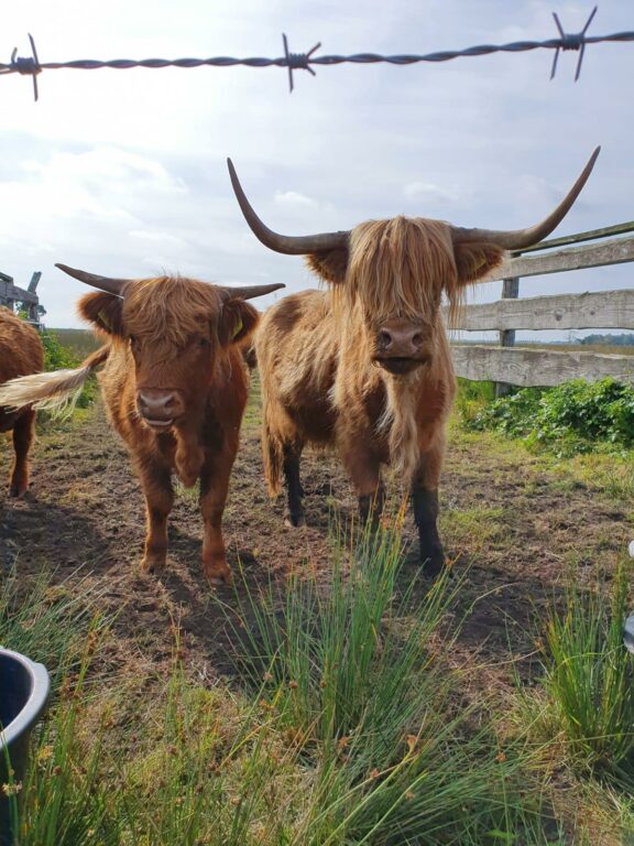 Nog meer inspiratie nodig of heb jij tips voor mooie plekjes in de natuur?