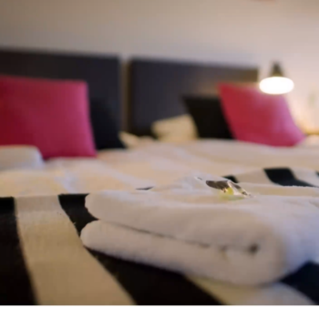 B&B Rheezerstee - Visit Hardenberg
