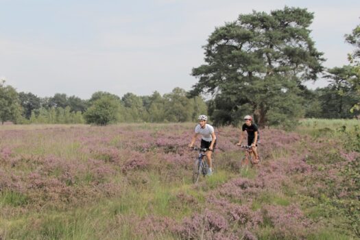 Mountainbikeroute - Visit Hardenberg