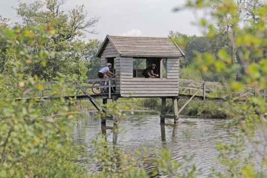 Mountainbikeroute - Visit Hardenberg