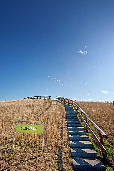 Uilenkamp en Mölnmarsch