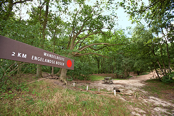 Het Engelandse Bos