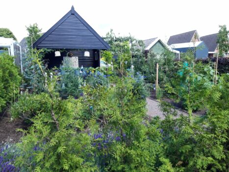 B&B ’t Brocantje - Visit Hardenberg