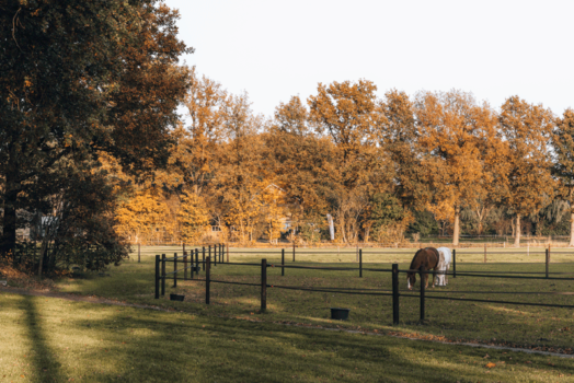 B&B De Heemser Parel - Visit Hardenberg