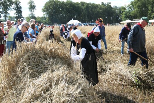 Holthoner Oogstdag 2023 - Visit Hardenberg