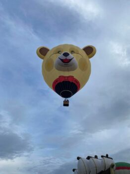 Ter Steege Ballonfestival – Uiterwaarden Vecht - Visit Hardenberg