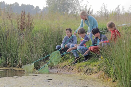 Winterse Natuurbeleving Bij De Koppel - Visit Hardenberg