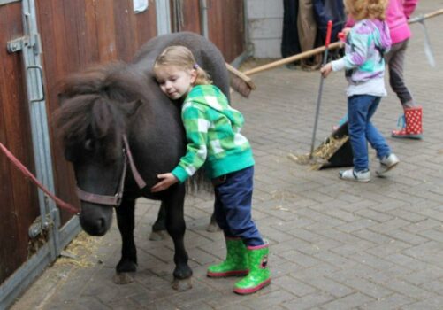 Ruiterbewijs weekend Horsetellerie - Visit Hardenberg